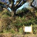 안덕면 통물(감산리) 이미지