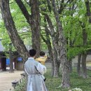 YS고압 나4 | 전주 YS스냅 : 전주 한옥마을 돌스냅 추천