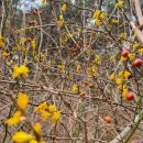 삼팔파크 이미지