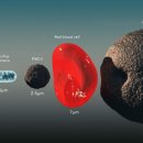 KNP 인터네셔널 이미지