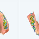 서울에스(S)치과교정과치과의원 이미지