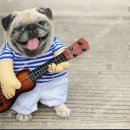 딩가딩가 이미지