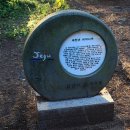 천년비자 이미지