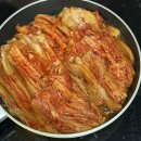 디비독 | 11월 17~19일