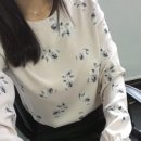 라임여성의류 이미지