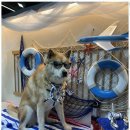 진해유치원 이미지