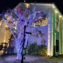 기장대게마을 | 기장 여행_1일차 최후의 만찬[대게만찬/보몽드/뉴시즈오시리아]