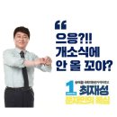 선거관련)송파을 최재성예비후보 이미지