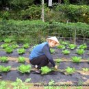 둥이네농장2 이미지