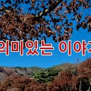 의미있는 이미지