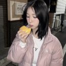 미모고양이 네이버블로그