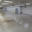 (주)씨앤투스 Daum카페