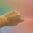 원올 | 헤어미스트 찾다 반해버린 헤어퍼퓸! 헤어에센스추천까지 되는 원올프로페셔널 솔직후기