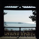 선샘 - 17999 | 선샘