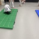 우솔태권도 이미지