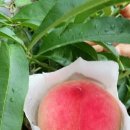 재림농장 이미지