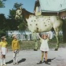 삐삐롱스타킹 이미지