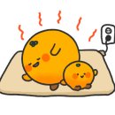 (주)비타하우스