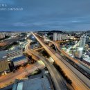 수지아르피아 이미지