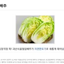 괴산청정지역 절임배추 판매-마감 이미지