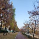 참(charm)행정사 사무소 이미지