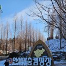 안성맞춤캠핑장 | 안성맞춤 캠핑장 글램핑 G4 컨디션, 비용