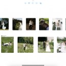 보동 목장 이미지