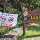 대흥동 유아숲체험원 이미지