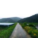 산방마을 농로 이미지