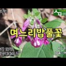 채소처럼 살고싶다(2008.07.28) 이미지