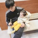 인생치밥 네이버블로그