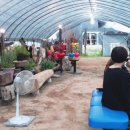 찬조농장 이미지