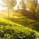 정기신한의원 이미지