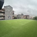 인천고양이분양 테디럽 이미지