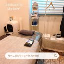 헤븐왁싱 | 제주브라질리언전문 남자 여자 왁싱 모두 가능한 노형동 헤븐왁싱 후기