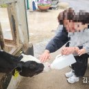 모산목장 이미지