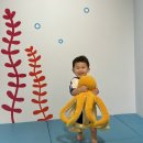 온누리어린이집(구. 바다) | [인천 가볼만한곳]비올때 실내아이랑 국립인천해양박물관(어린이박물관)후기