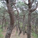 스토리가 있는 역사 이미지