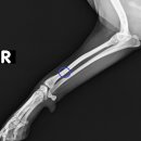 워너비 동물병원 이미지