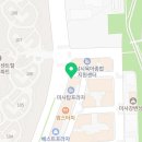 퍼피 비비드 강아지분양 하남미사본점 이미지