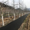 태송농장 이미지