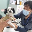 지수동물병원 이미지