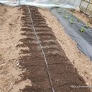 야지농장 이미지