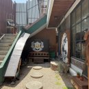 청주고양이입양지원센터 애니멀공화국 이미지