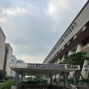 고속터미널 꽃시장 조화부케 구매 후기 | 플레롱, 예림조화 내돈내산 비교