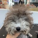 팡앤뭉치 이미지