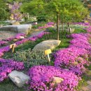 허브캐슬 이미지