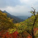 남산