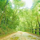 여름동화 이미지