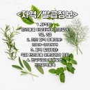 국제반려동물직업개발원